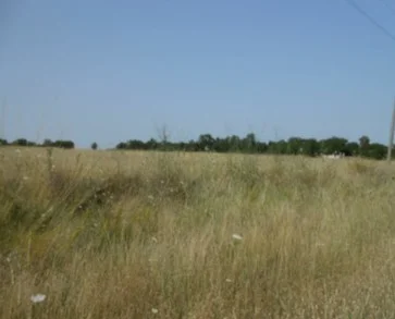 Парцел в област Враца